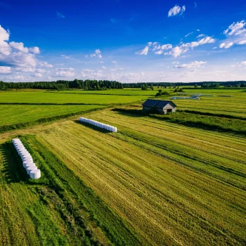 aerial-view-of-green-field-harvest-with-old-wood-b-2023-11-27-04-58-26-utc-scaled.jpg